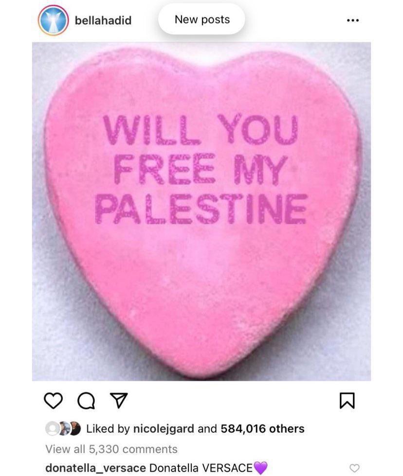 Bella Hadids Advocacy Post and Donatellas Reaction.jpg