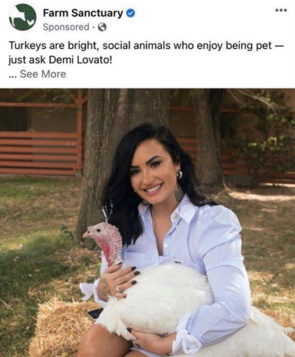 Demi Lovato and the Turkey Uproar.jpg