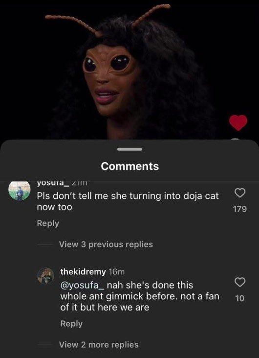 SZA DMd a Fan ,  The Heartwarming Exchange.jpg